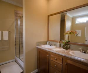 Bathroom with shower from house model Teresa Pratt Homes, Tyler, Texas